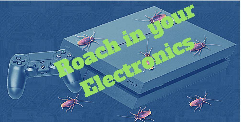 Roach in your Electronics
