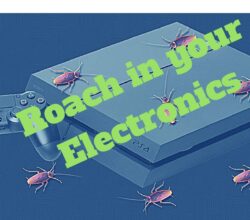 Roach in your Electronics