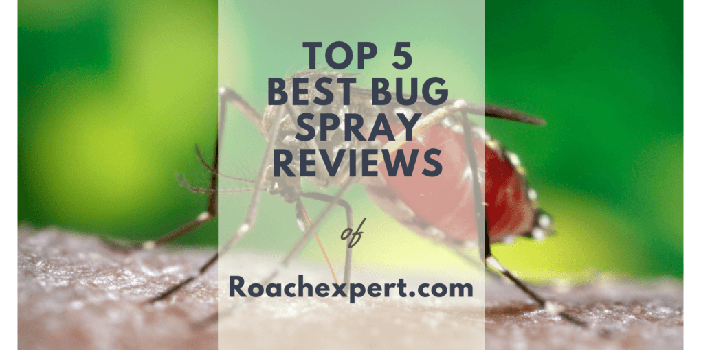 Top 5 Best Bug Spray Treatments Reviews for Indoor and Outdoor Home Pest Control
