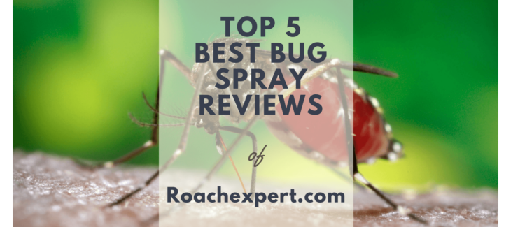 Top 5 Best Bug Spray Treatments Reviews for Indoor and Outdoor Home Pest Control