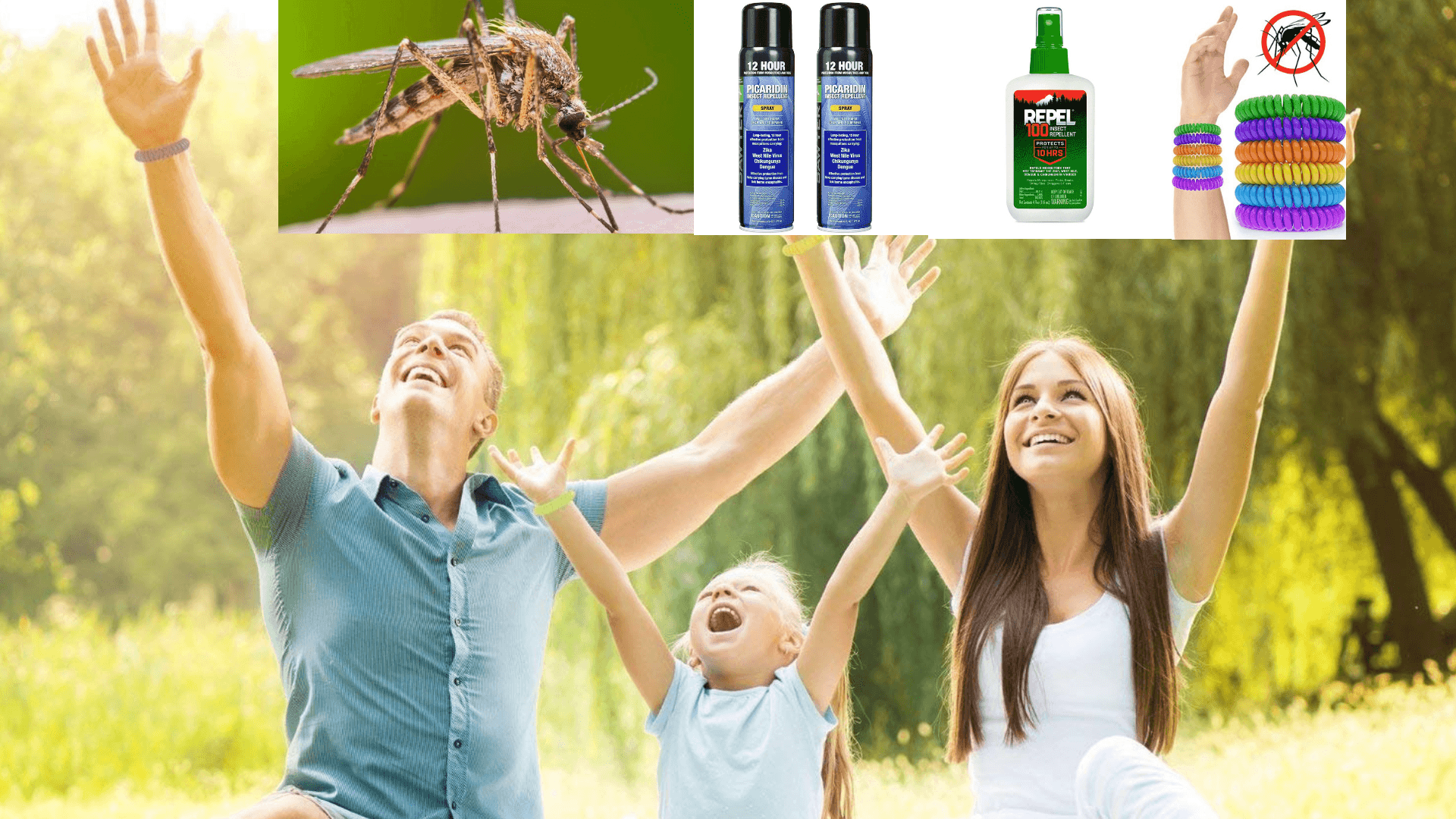 Top 5 Best Mosquito Repellent Reviews