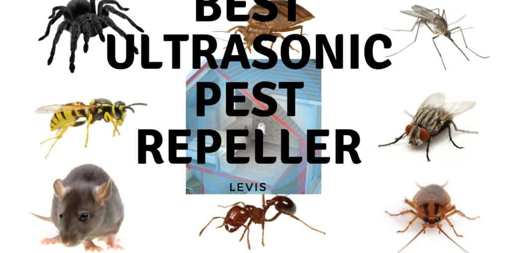 best ultrasonic pest repeller reviews Roachexpert.com