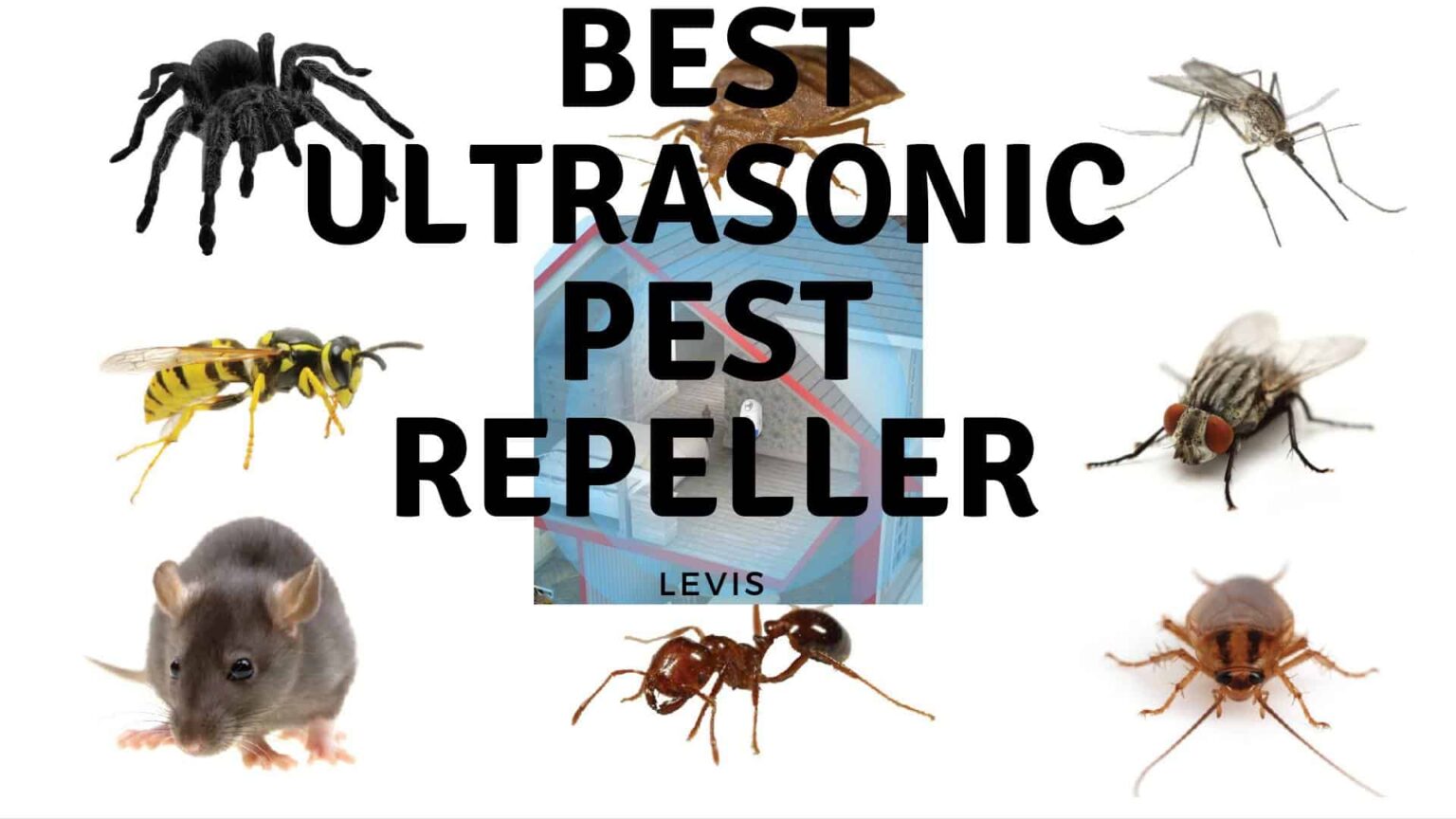 Top 8 Best Ultrasonic Pest Repeller Reviews (Updated 2020)