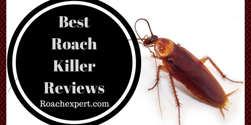 Best Roach Killer Reviews