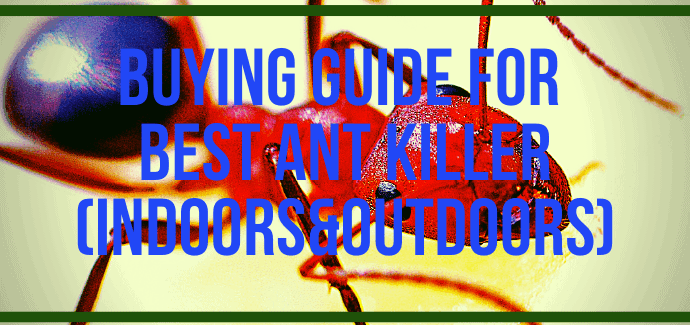 Buying Guide for Best Ant Killer