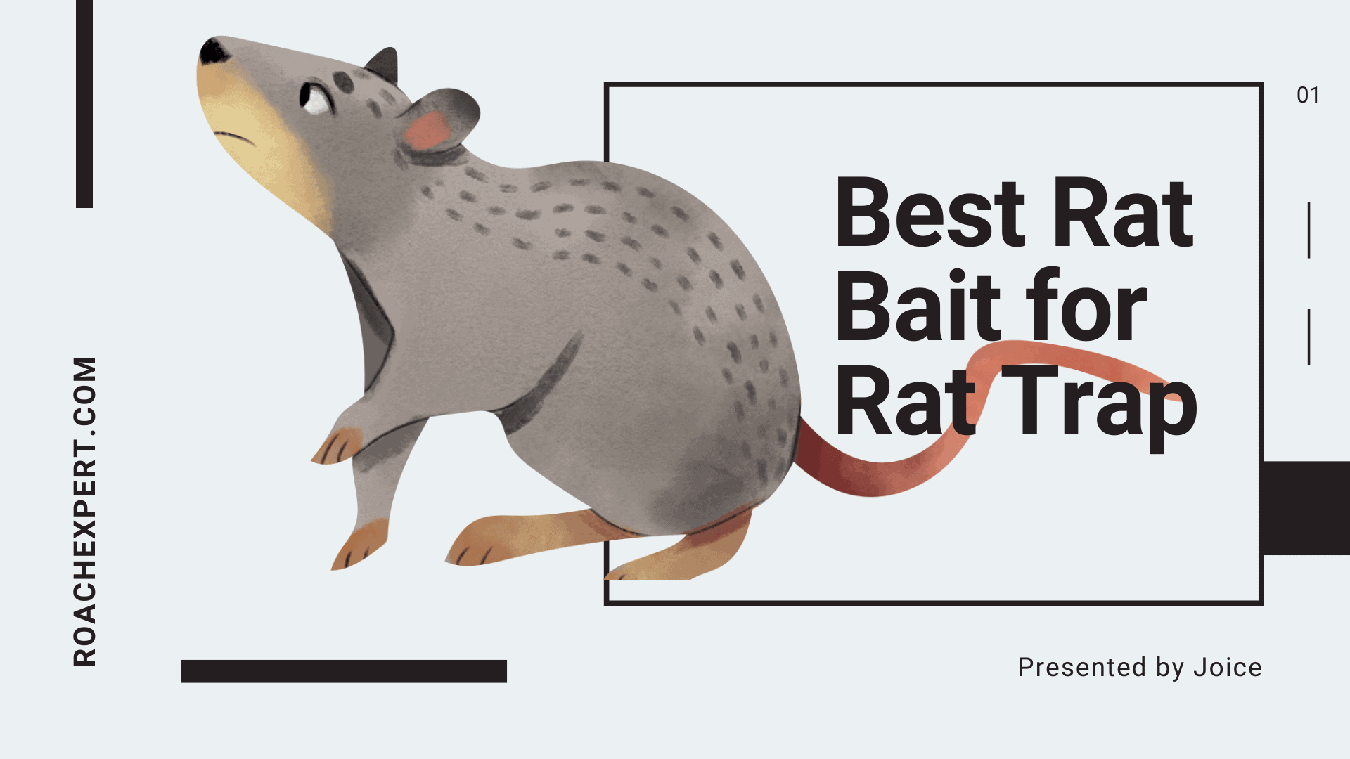Best Rat Bait for Rat Trap