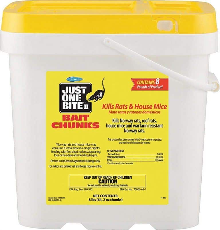 Best Rat Bait for Rat Trap Best Rat Poison Roach Expert
