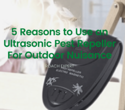 5 Reasons to Use an Ultrasonic Pest Repeller For Outdoor Nuisance