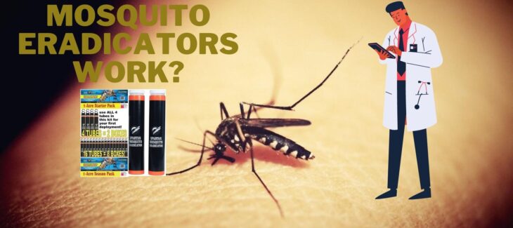 The Best Spartan Mosquito Eradicator Reviews 2022