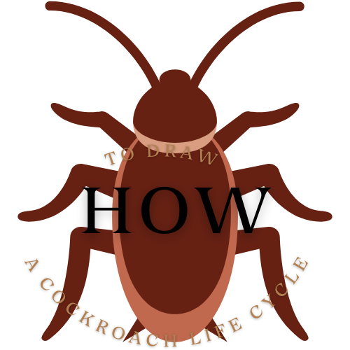 How to Draw a Cockroach Life Cycle